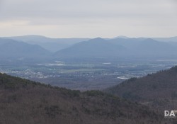 Canon-RF-24-240-Samples-47