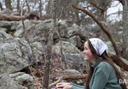 Canon-RF-24-240-Samples-51