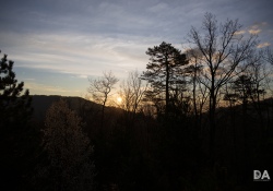 Canon-RF-24-240-Samples-56