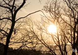 Canon-RF-24-240-Samples-57