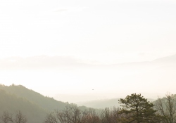 Canon-RF-24-240-Samples-60