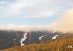 Canon-RF-24-240-Samples-61