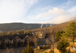 Canon-RF-24-240-Samples-62