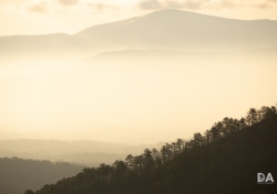 Canon-RF-24-240-Samples-63