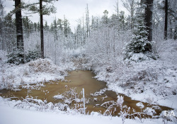 43-Winter
