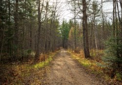 33-Real-World-Landscapes-1