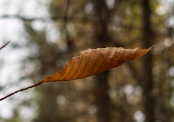20-Complex-Background-2