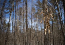 38-Busy-Bokeh-2