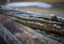 38-Busy-Bokeh-3