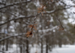 38-Busy-Bokeh