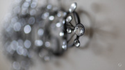 41-Gallery-2-of-17