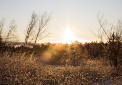 32-Flare-6