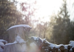 33-Bokeh-2