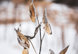 39-Bokeh-7