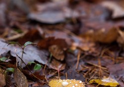 44-Bokeh-12