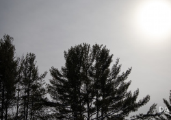 41-Flare-2