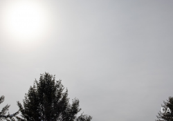 41-Flare-4