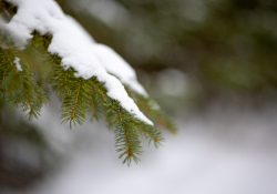 34-Bokeh-4