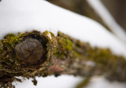 34-Bokeh-6