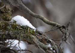 34-Bokeh
