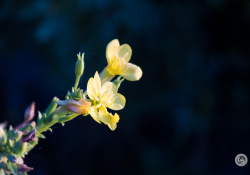 30-150mm-Real-World-1