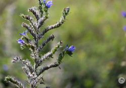 30-150mm-Real-World-5