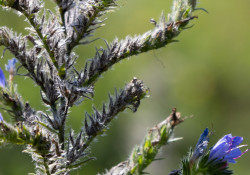 30-150mm-Real-World-6