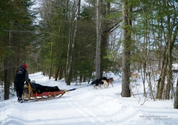 Chateau Montebello-143