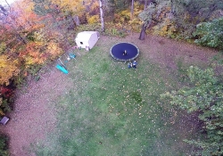 Backyard Fun