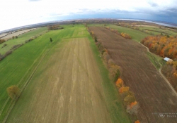 Fields