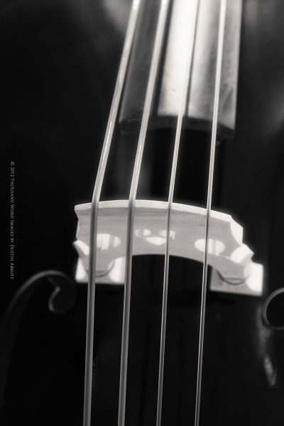 071-Cello.jpg
