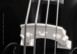 071-Cello.jpg