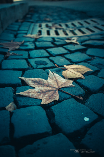 Autumn in Roma
