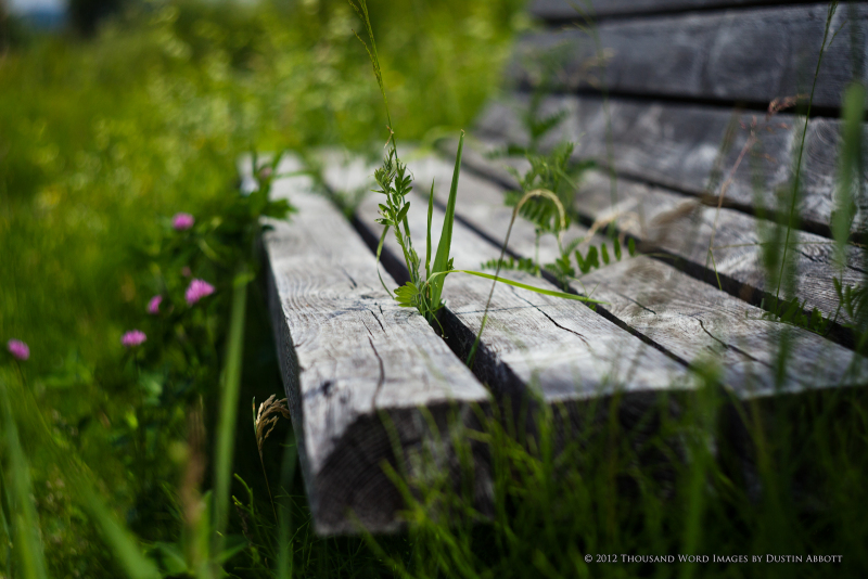 Overgrown