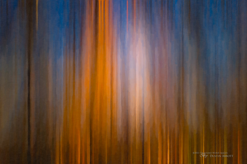 038 Autumn Abstract Final.jpg