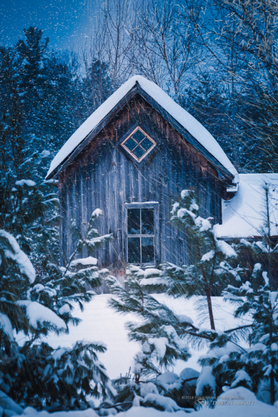 The Last Homely House