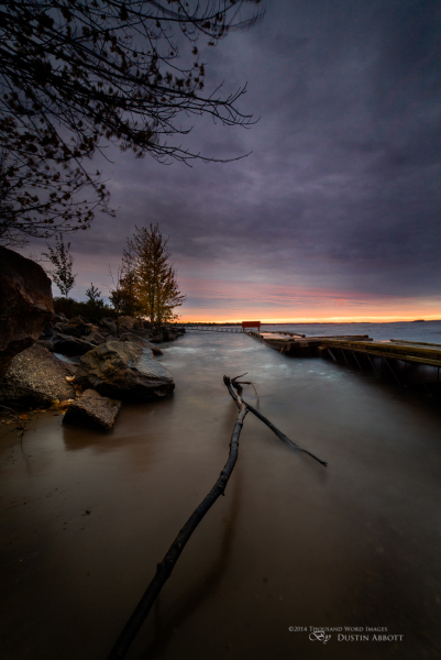 Driftwood