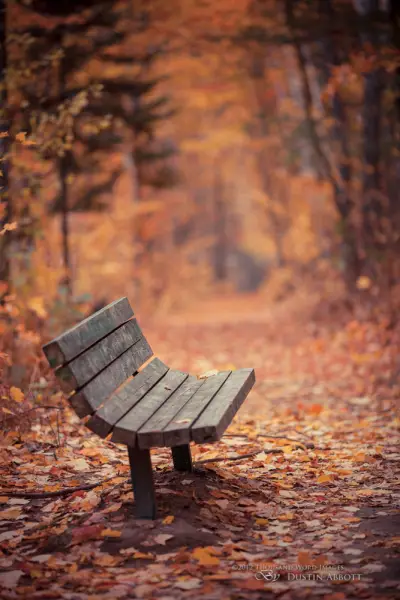 Have a Seat