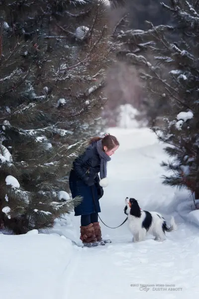 Obedience Lessons