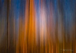 038 Autumn Abstract Final.jpg