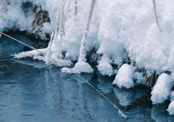 Polar Blue