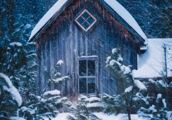 The Last Homely House
