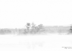 Glimpses