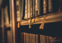 The Sacred Books