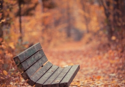 Have a Seat
