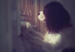 Missing Mommy
