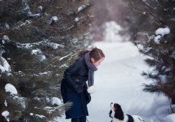 Obedience Lessons