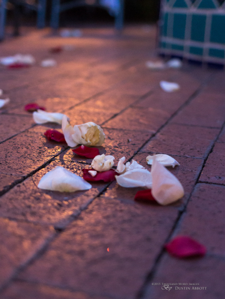 Fiona+and+Alec-38