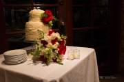 Fiona+and+Alec-42