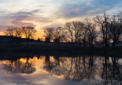 Landscapes-2